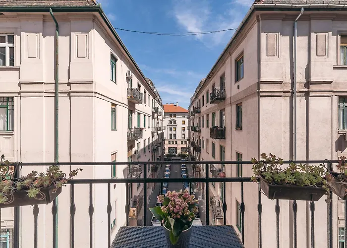 Raday Bobo בודפשט